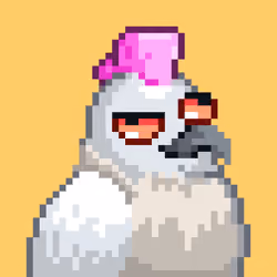 Noonbirds #5553
