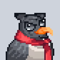 Noonbirds #1662