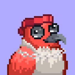 Noonbirds #4649