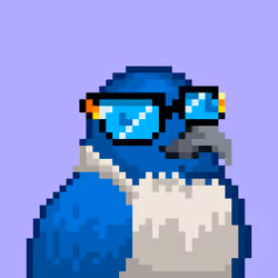 Noonbirds #5616