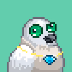 Noonbirds #559