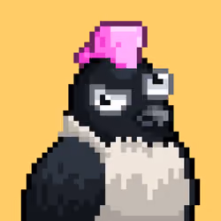 Noonbirds #6847