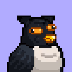 Noonbirds #425