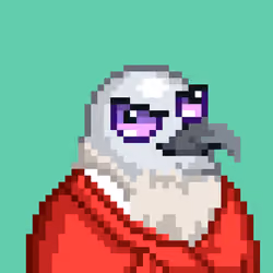 Noonbirds #5654