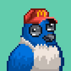 Noonbirds #6088