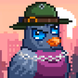 Noonbirds #3619
