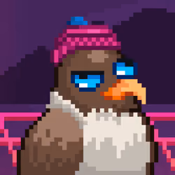 Noonbirds #2645