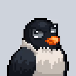 Noonbirds #6471