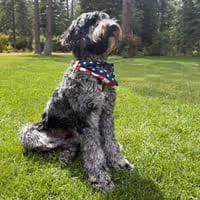 BENNY