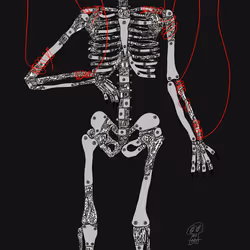 6