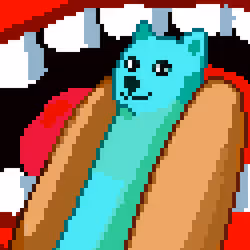 555