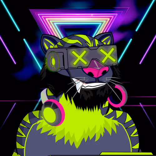 Mr DJ