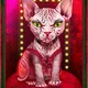 Plezier [90 Votes, Common]
