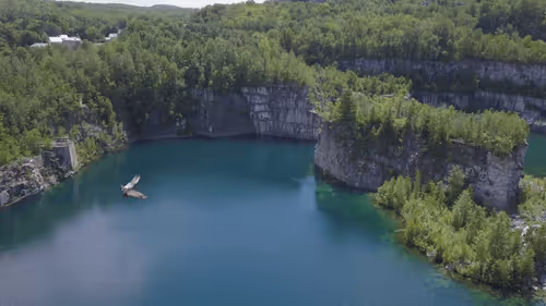 Bird In Granite Quarry (Photo)