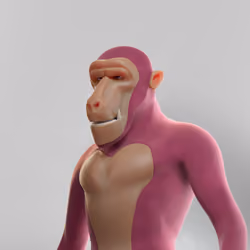 Baboon #622