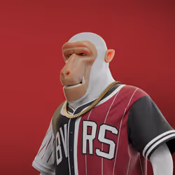Baboon #417