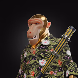 Baboon #932