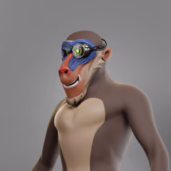 Baboon #797
