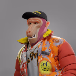 Baboon #251