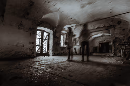 Conceptual art X Bambii