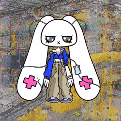 243