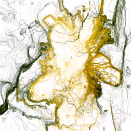 Fluid By Noon