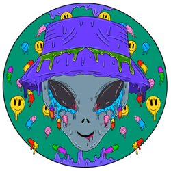 TABZ #4806