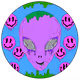 2684