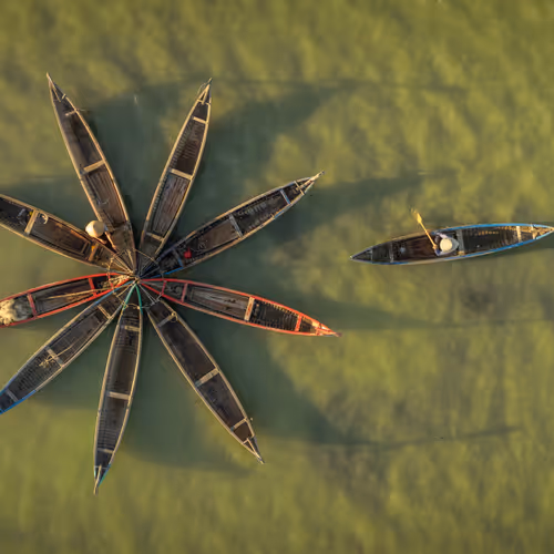 The Great Colour Study: Vietnam