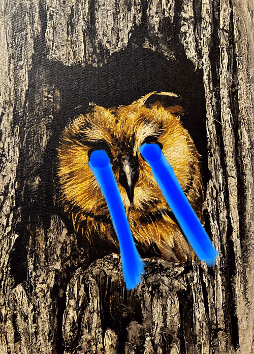 Item #84718433213095582184775028968073626614845002143343623954064000140521745921976 Media