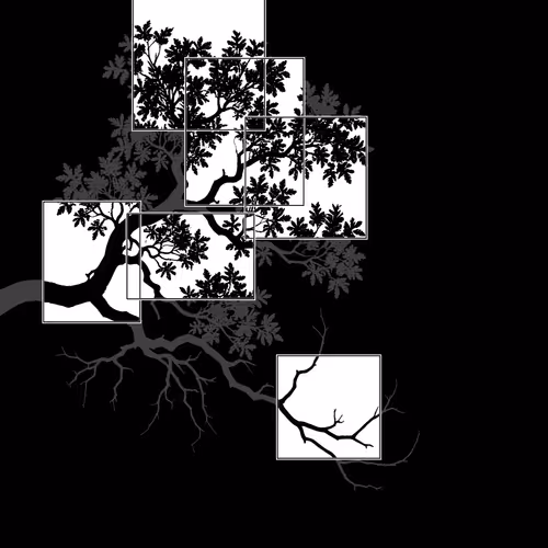 Windows The Editions
