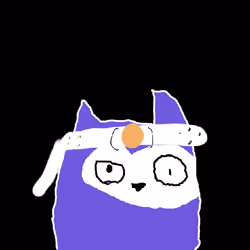 2555