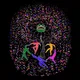 Dance with the tree of life