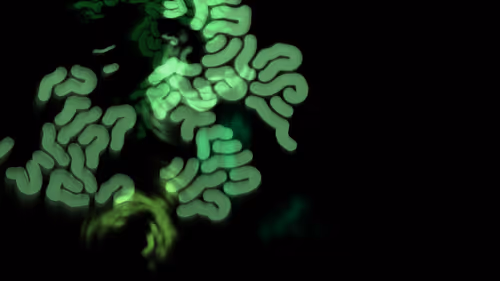 Item #26800040003 Media