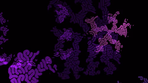 Item #26800020015 Media