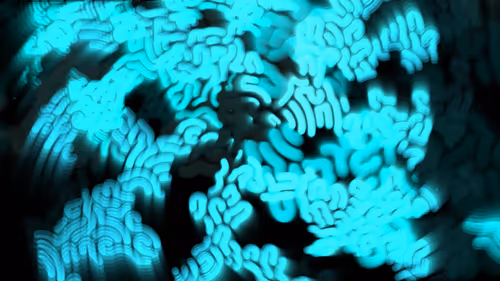 Item #26800050017 Media