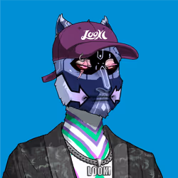 Looki#3287