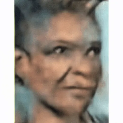 Fading Memories 521679933