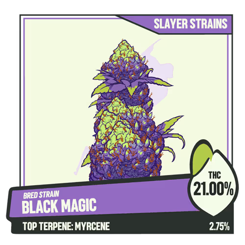 Weedgang Game Bred Strain