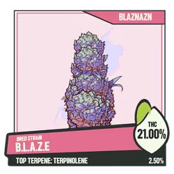 WEEDGANG.GAME - BRED STRAIN