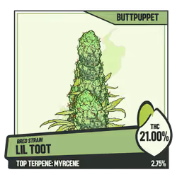 WEEDGANG.GAME - BRED STRAIN