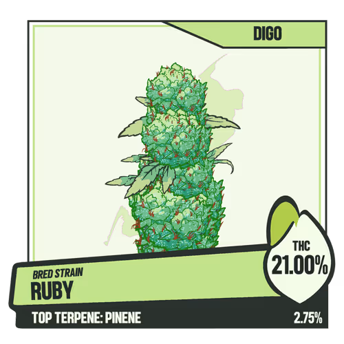 WEEDGANG.GAME - BRED STRAIN