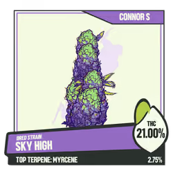 WEEDGANG.GAME - BRED STRAIN