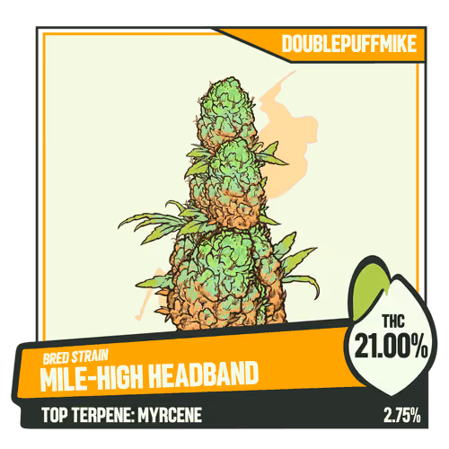 WEEDGANG.GAME - BRED STRAIN
