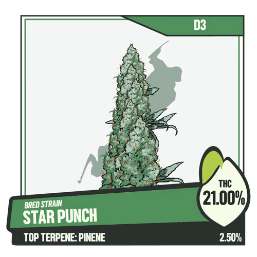 WEEDGANG.GAME - BRED STRAIN