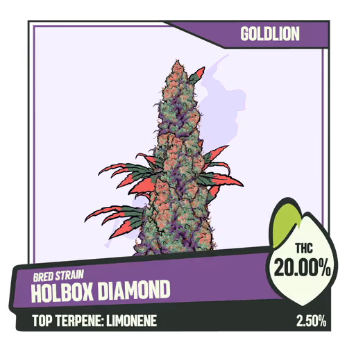 WEEDGANG.GAME - BRED STRAIN