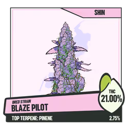 WEEDGANG.GAME - BRED STRAIN