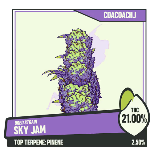 WEEDGANG.GAME - BRED STRAIN
