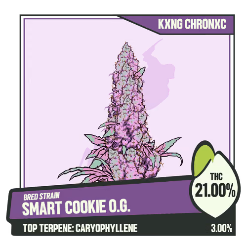 WEEDGANG.GAME - BRED STRAIN