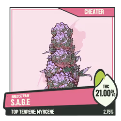 WEEDGANG.GAME - BRED STRAIN